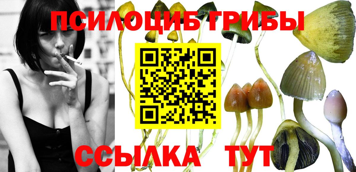 Псилоцибиновые грибы прущие грибы Новокубанск