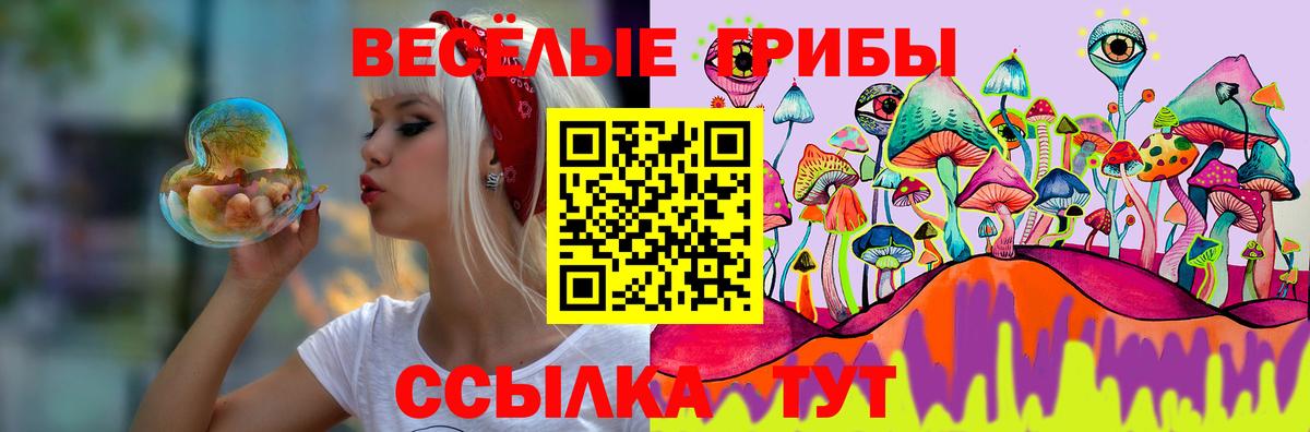 Галлюциногенные грибы мухоморы  Псилоцибиновые грибы GOLDEN TEACHER  Вход с VPN  Новокубанск 